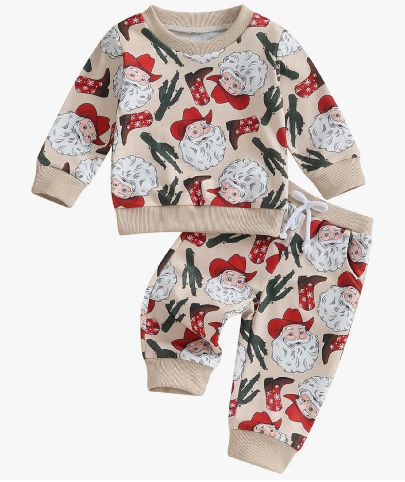 Santa Cactus Christmas